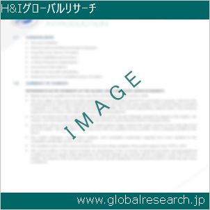 グローバルリサーチ調査レポートのイメージ